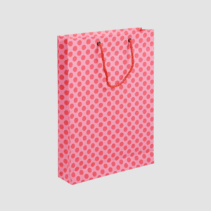 Gift Paper Bags